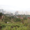 Hiking Tin Shui Wai 2024 HAN79NPO_t