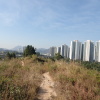 Hiking Tin Shui Wai 2023 July - 頁 3 OqqUp9l2_t