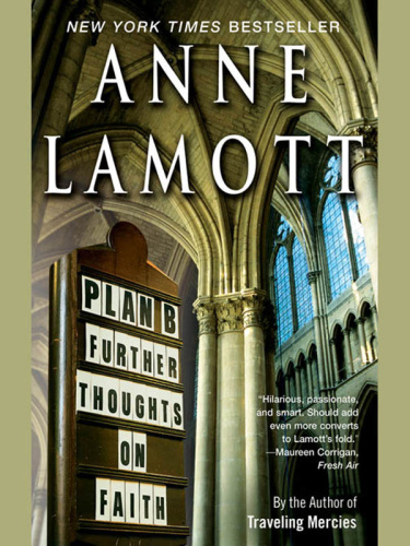 Plan B  Further Thoughts on Faith by Anne Lamott 