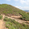Hiking Tin Shui Wai 2023 July - 頁 2 8cCsubIJ_t