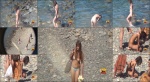 Nudist video 00653 NudeBeachDreams 