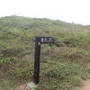 Tin Shui Wai Hiking 2023 - 頁 2 KAjKexSi_t