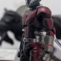 Ant-Man (Ant-Man & The Wasp) (S.H. Figuarts / Bandai) IzDmd395_t