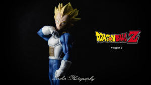 Resolution Of Soldier - Dragon Ball Z (Banpresto) - Page 3 LXrrwEl5_t