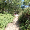 Hiking Tin Shui Wai 2023 July - 頁 3 FlDD1D2k_t