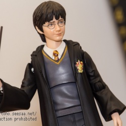 SHF Hogwarts Harry Potter - SH Figuarts (Bandai) - Page 2 JuQ3SxdA_t