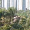 Hiking Tin Shui Wai 2023 July - 頁 2 VQDLxBSl_t