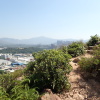 天水圍 Hiking 2021 July 3 - 頁 3 TCdF0xII_t