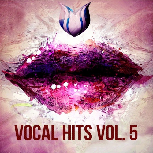 VA Vocal Hits Vol 5