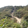 Tin Shui Wai Hiking 2023 ZxGMl8ix_t