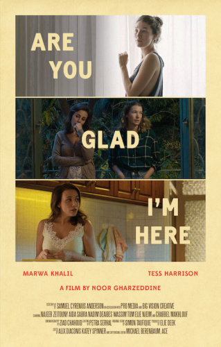 Are You Glad Im Here (2018) WEB-DL (DDP2 0) X264 Solar
