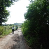 Hiking Tin Shui Wai 2023 July - 頁 2 AEXIIi33_t