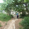 Hiking Tin Shui Wai 2023 July - 頁 2 IWWbiigh_t