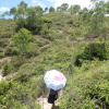 Hiking Tin Shui Wai 2023 July PqBcbimx_t