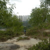 Hiking Tin Shui Wai - 頁 10 1ZlAitcB_t