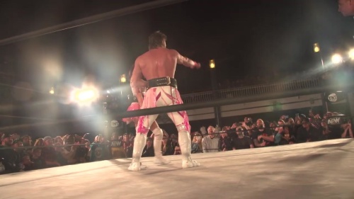 PV1TPTV8_t.jpg