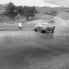 Targa Florio (Part 3) 1950 - 1959  - Page 3 CAKt7LfX_t