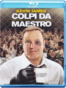 Colpi da maestro (2012) .mkv HD 720p HEVC x265 AC3 ITA-ENG