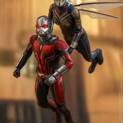 Ant-Man (Ant-Man & The Wasp) 1/6 (Hot Toys) 8DksSvzO_t
