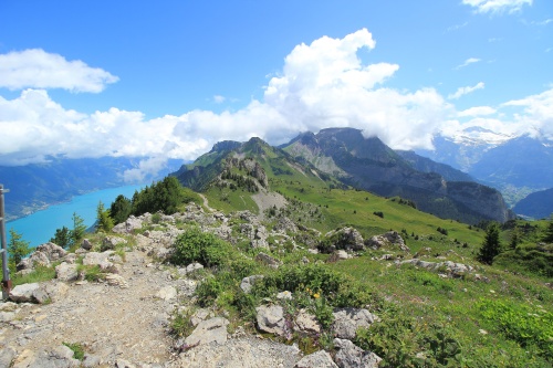 6 DE JULIO. RUTA A SCHYNIGE PLATTE. - De ruta en ruta por Suiza, 2023 (11)