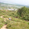 Hiking Tin Shui Wai 2023 July - 頁 2 7MoX3b2K_t
