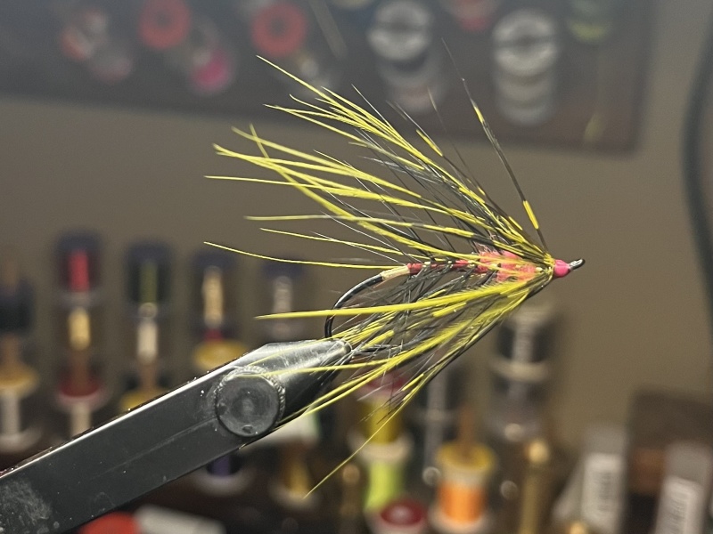 What Have You Been Tying Lately? Spey/Switch Edition, Page 71