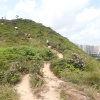 Tin Shui Wai Hiking 2023 - 頁 3 HZyFoXAb_t