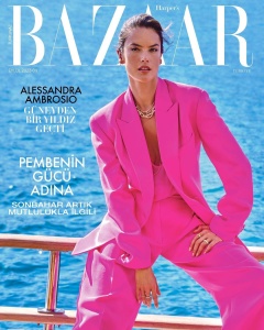 Alessandra Ambrosio Vogue Mexico by Blair Getz Mezibov — Anne of  Carversville