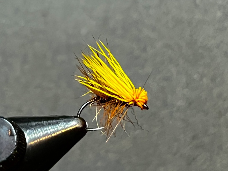 Caddis Dry Flies  Pacific Fly Fishers