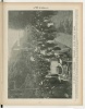 1903 VIII French Grand Prix - Paris-Madrid - Page 2 XdOJHRnn_t