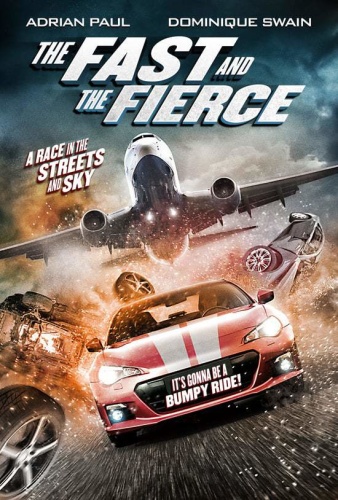 The Fast and The Fierce (2017) 720p BluRay x264 Dual Audio Hindi DD 2 0 - English ...