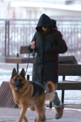 Shailene Woodley - Spotted walking her beloved German Shepherd in Montreal, March 16, 2021