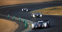 24 HEURES DU MANS YEAR BY YEAR PART SIX 2010 - 2019 - Page 6 PxrtEJUI_t