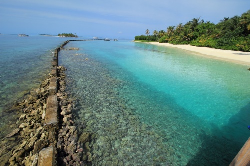 Maldivas 2022. Maafushivaru - Blogs de Maldivas - EXPERIENCIA EN LA ISLA (22)