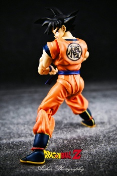 Dragon Ball - S.H. Figuarts (Bandai) - Page 2 FXsuiehy_t
