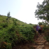 Hiking Tin Shui Wai 2023 July - 頁 2 EnmDq7MH_t