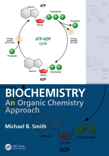 Biochemistry   An Organic Chemistry Approach