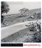 Targa Florio (Part 3) 1950 - 1959  - Page 7 M1oAcWsa_t