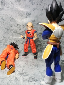 [Comentários] Dragon Ball Z SHFiguarts - Página 27 XHyXhbwG_t