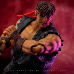 Street Fighter V 1/12ème (Storm Collectibles) - Page 4 Icraw7Mf_t