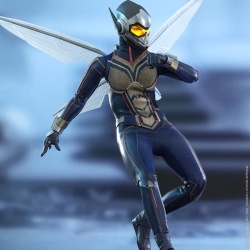 Ant-Man (Ant-Man & The Wasp) 1/6 (Hot Toys) Kdyx56hh_t