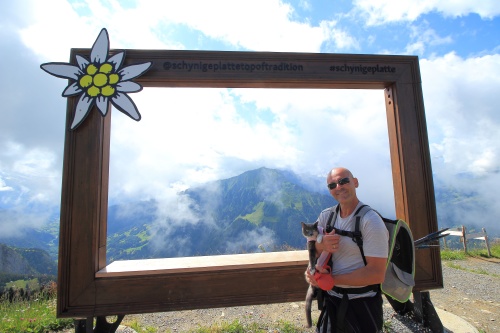 6 DE JULIO. RUTA A SCHYNIGE PLATTE. - De ruta en ruta por Suiza, 2023 (7)