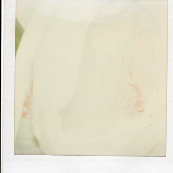 image host