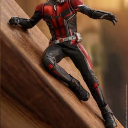 Ant-Man (Ant-Man & The Wasp) 1/6 (Hot Toys) Jf6UjVj6_t