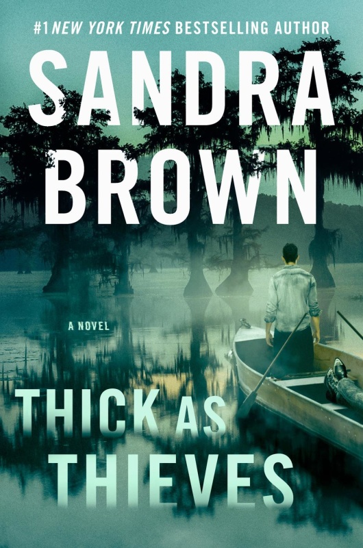 12  THICK AS THIEVES by Sandra Brown ZrL1Vhpq_t