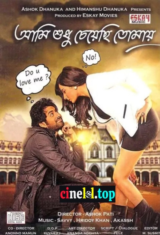 Aami Shudhu Cheyechhi Tomay (2014)