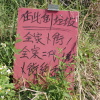 Tin Shui Wai Hiking 2023 9WENUK3T_t