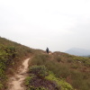 Hiking Tin Shui Wai 2024 Crzn7R4V_t