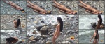 Nudebeachdreams Nudist video 00593