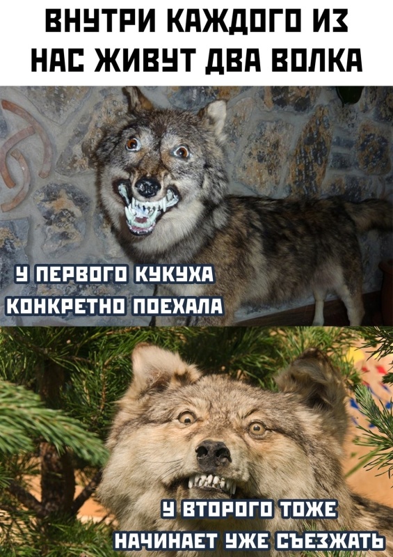 UgR6p5iT_t.png